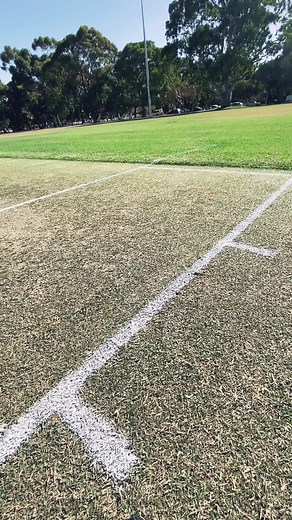 Creating the Perfect Cricket Pitch: Satisfying Turf Preparation
