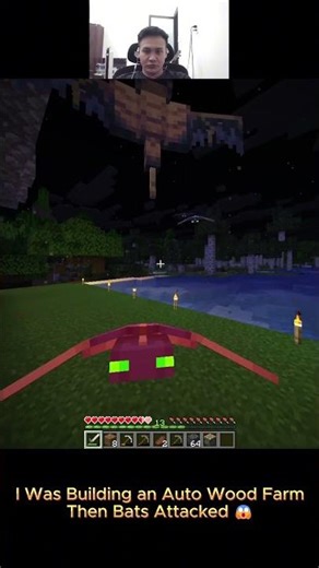 Too Many Bats Attacked Me While Building 💀 Minecraft