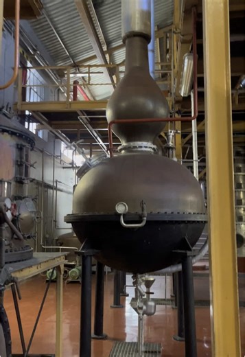 Van Ryn’s ✨🥃 wish i had more time to explain the distillation process but let me know if i should go back and make a vid explaining more of the process how it is made ect! #fyp #micheandwine #sa #pyda #brandy #winetiktok🍷 #student #vanryns #distillery #distilation #kwv #richeliue #potstill @PYDA