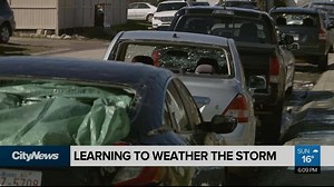1.1K views | A month after a hail storm caused over $1 billion damage to communities in Calgary’s Northeast there are signs of recovery. Allie Miller explains how one inspector is helping the community weather the aftermath. | CityNews Calgary | Facebook