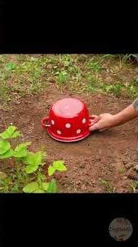 Transform Your Backyard Garden with Fun Ideas! #lifehacks #diy #ideas