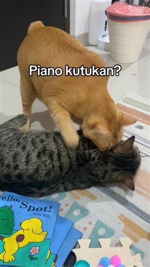 17K views · 1.9K reactions | Yang bisa liat tolong ini piano isinya apa?? Kok bisa bikin labubuku kesambet aing maung  #simbasaekkiya | Simba Saekkiya | Facebook