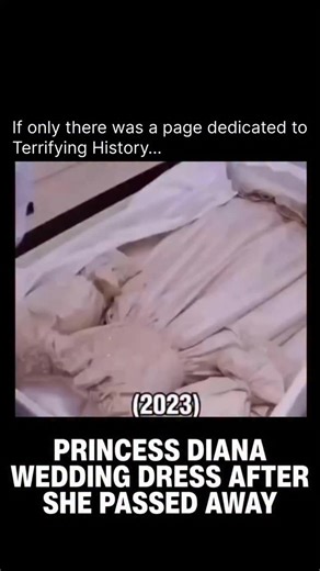 Terrifying History on Instagram: "Following the death of Princess Diana in 1997, the custody and care of her iconic wedding dress fell to her family, the Spencers. The dress, designed by David and Elizabeth Emanuel, was stored at Althorp House, the Spencer family estate. As stipulated in her will, the gown was part of the estate left to her sons, Princes William and Harry, who formally inherited it in 2014. The dress has been exhibited only on rare, carefully managed occasions. A significant pub