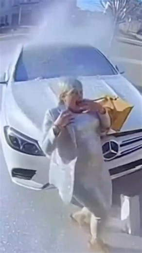 Karen HOA President Steals Package - Silver Glitter OWNS Her! 😂💀 #DoorbellCam #HOA #Subscribe