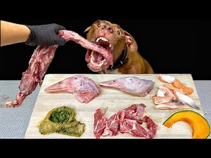 Satisfying ASMR: Pit Bull Enjoys a Raw Meat & Bone Meal