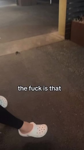 Good Luck Meme Compilation - What the F*ck Is That? | Makalee Memes