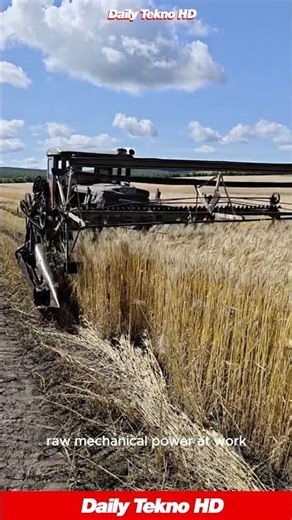 This Old Harvester Just KEEPS GOING! 🚜 #Harvest