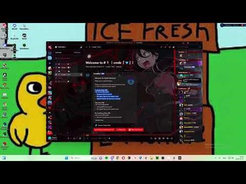 Best twitch follower bot, quick fast & easy!