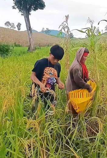 ບ້ານເຮົາ ກະສໍ່າບ້ານເຮົາຫັ້ນລະ | Loung Piew