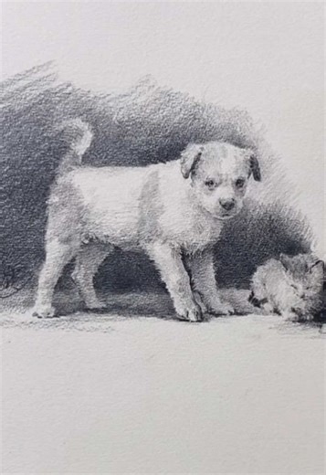 How to draw puppy 🐶 Puppy 🐶 sketch drawing art draw #dog #sketch #art #drawing #fyp