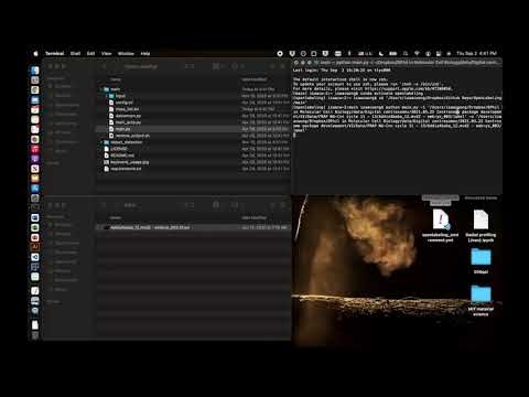 Openlabeling tutorial for FRAP analysis