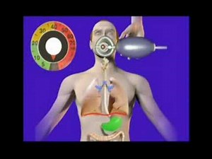 Benefits of Using a Monometer During Manual Resuscitation