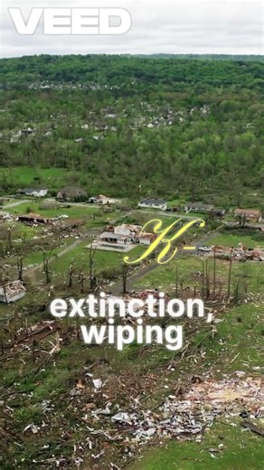 The aftermath of cretacious extinction| The new evolutions |insidemyhistoreelab