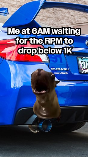 Sorry neighbors, I have to let my engine warm up 🤷‍♂️ | IAG Performance