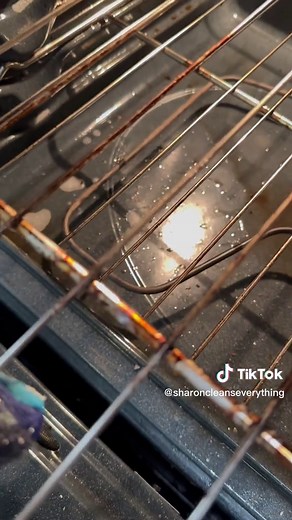 Ultimate Oven Cleaning Guide: Scrub Daddy Power Paste & Steel Daddy