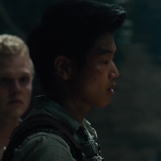 Exploring The Maze Runner: A Fan's Passion