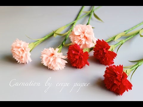 How to make Carnation by crepe paper/ Oai Huong handmade