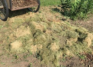 Ruth Stout Method of No Work Gardening - Roots Nursery