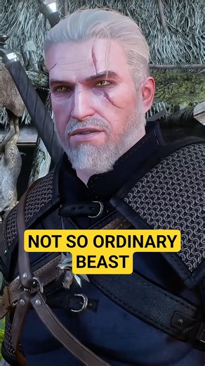 Not So Ordinary Beast - The Witcher 3