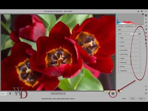 Camera RAW 12.3 - Radical Changes to the User Interface ...