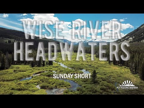 Wise River Headwaters in Montana's Pioneer Mountain Range | SUNDAY SHORT | Fly Fishing Waters