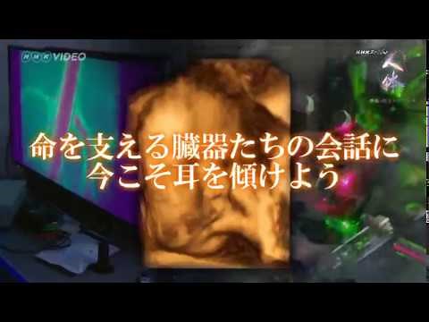 NHKスペシャル 人体　神秘の巨大ネットワーク　DVD-BOX 全7枚｜人体・生命｜DVD