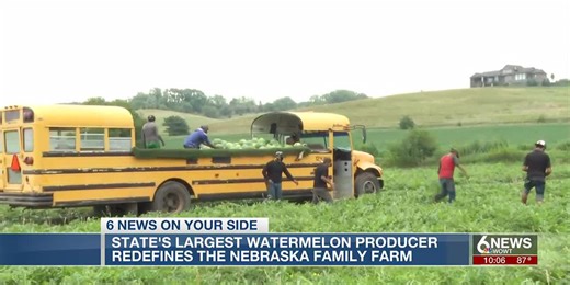 Largest watermelon producer in Nebraska redefines family farm