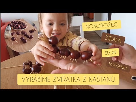 VYRÁBÍME ZVÍŘÁTKA Z KAŠTANŮ | PODZIMNÍ DEKORACE | #diy #craft #decoration #homedecoration #autumn