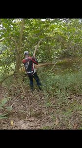 890K views · 8K reactions | Spot liar #cinyorekor | Cinyo Fishing | Facebook