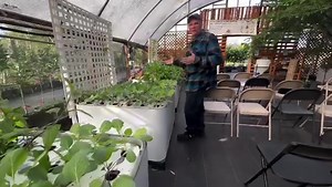 Grow your own food WITHOUT weeding & overwatering! Explore different grow methods and learn to become self sustainable with us. FREE CLASS for Homeowners This Saturday in Plant City. Click below for more details 👇 | A Land of Delight Natural Farm & Nursery