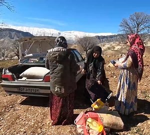 5.3K views · 126 reactions | Fertilize land using chemical fertilizer in Village way | Outdoor Cooking | Facebook