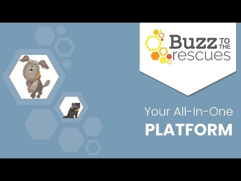 Buzz at a Glance: An All-in-One Platform for Animal Rescues & Shelters