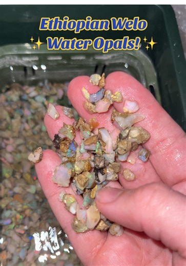 The color gets so good when they’re submerged in water! ✨ #opal #crystaltok #science #crystals #beforeandafter