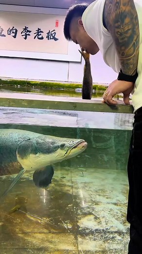 #creatorsearchinsights #monsterfishkeeper #monsterfishkeepers #fishkeeper #fishkeeping #viralvideo #fishinglife #viral #fyp #trending #monsterfishing