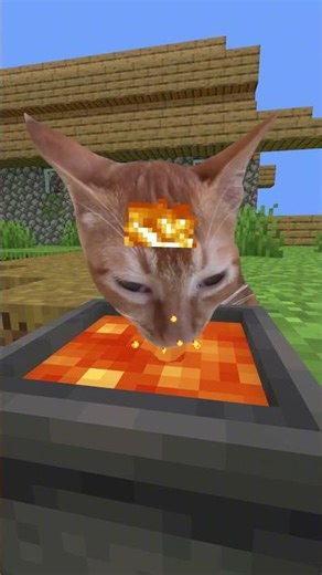 Cutest Minecraft Pets Ever & Funny Moments Part 1