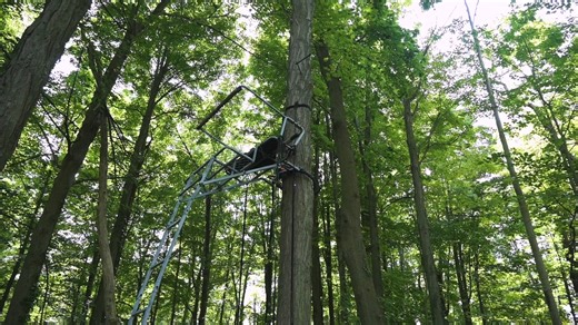 3.7K views · 42 reactions | The Ultimate tool for hanging multiple ladder stands!!! ➡LADDER STAND BUDDY & TREE STAND BUDDY HOLIDAY DEAL: TAKE 15% OFF WITH CODE FB15 #treestands #treestandbuddy #treestandsafety | Inside Archery | Facebook
