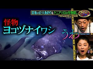 深海2000mの巨大怪魚を釣る旅！新種候補生物を奇跡の発見!!『クレイジージャーニー』7/14(月)【TBS】