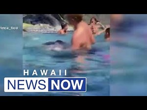 Shaquille O'Neil "rescued" by kids during visit to Poipu