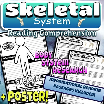 Skeletal System Informational Reading Comprehension Body System Research / Facts