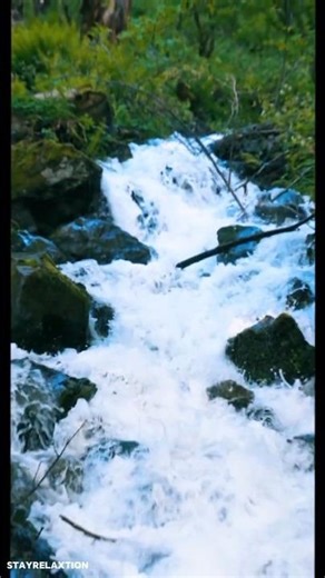 ✨🌿 “Relaxing & Satisfying Nature Scenery | Calm Your Mind” | #shorts #PeacefulNature #StressRelief