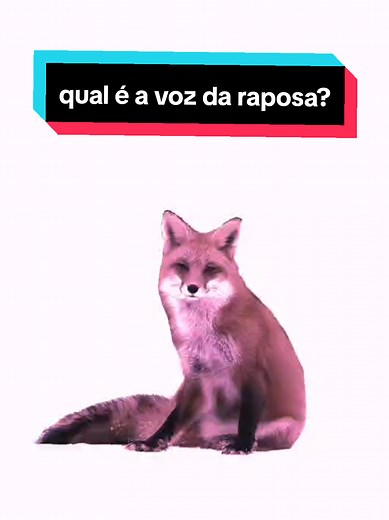 hehehe What does the fox say?🦊💡#meme #fox #animation #furry #funny | haha hoho hihi hehe animation