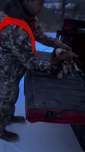 Hunting Mishaps and Missed Shots: The Day We Didn't Catch Any Rabbits