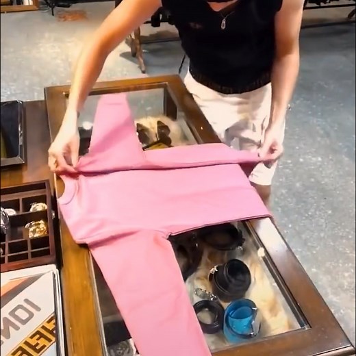 7M views · 10K reactions | Folding clothes to save space ✨ | Bloom | Facebook