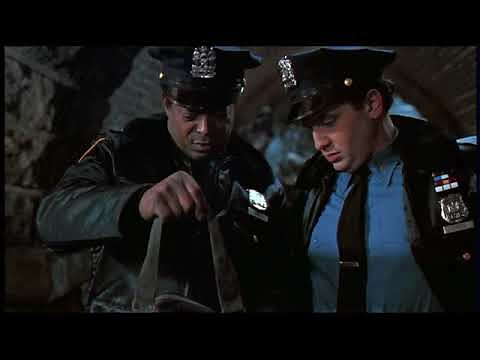 Home Alone 2 Wet Bandits arrested