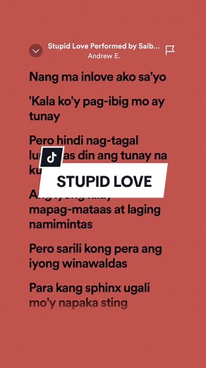 Stupid Love Song Lyrics by Andrew E.