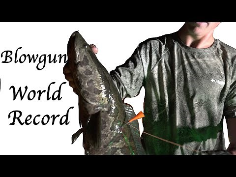 BlowFishing the Snakes of Chesapeake Bay