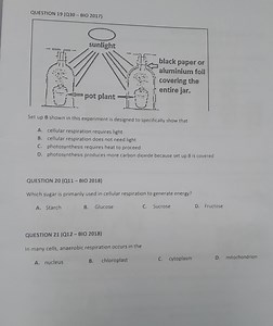 QUESTION 19 (Q30 - BIO 2017)Set up B shown in this experiment... | Filo