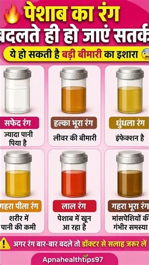 👉 पेशाब का रंग बता रहा है आपकी सेहत की सच्चाई 😱 | इन संकेतों को नजरअंदाज मत करो!