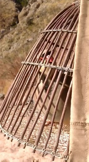 partridge call | تیتر کی آواز #partridge #alanpartridge #partridgehooks #partridges #partridgefamily #partridgeinapeartree #partridgecreek #thepartridgefamily #partridgeofredditch #andapartridgeinapeartree #andypartridge #partridgepose #hungarianpartridge #imalanpartridge #partridgejewellers #johnpartridge #partridgecreekmall #greypartridge #themallatpartridgecreek #partridge_hooks #redleggedpartridge #partridgeberry #partridgeisland #drivenpartridge #apartridgeinapeartree #chukarpartridge #cock