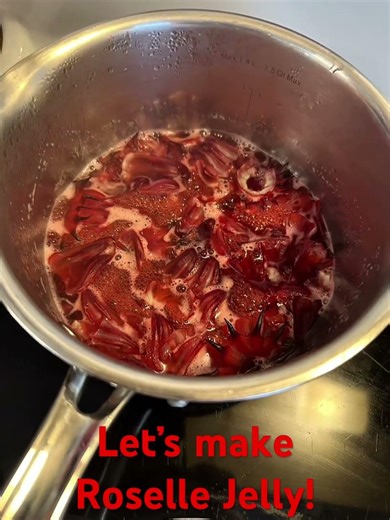 Roselle Hibiscus Jelly — From Harvest to Jar | Florida Cottage Garden